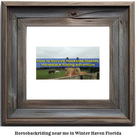 horseback riding near me in Winter Haven, Florida